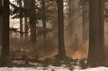 All'alba nebbia e luce 